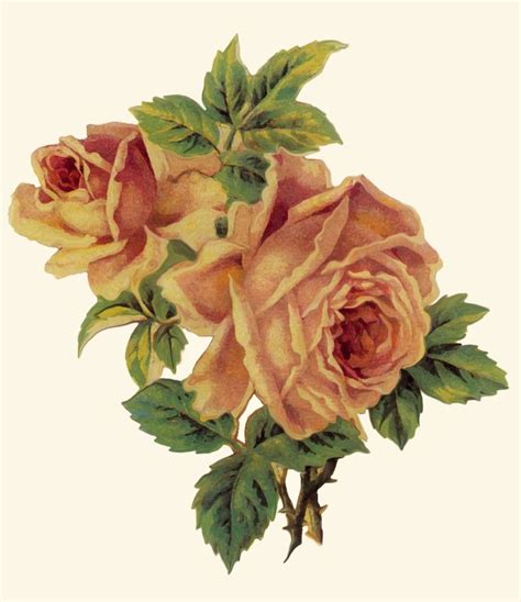 Artbyjean Paper Crafts A Pair Of Roses Decoupage Print From Set A33