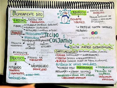 Mapas Mentais Sobre Tecido Conjuntivo Study Maps