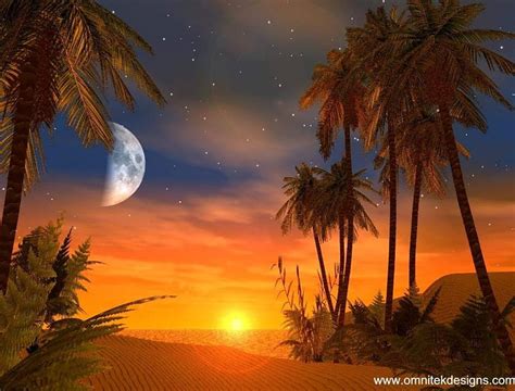 Sunset Moonrise Sunset Moonrise Palm Trees Hd Wallpaper Peakpx