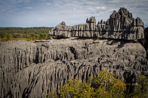 Parc National Tsingy De Bemaraha Madagascar Voyage