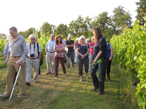 Group Tours Warden Abbey Vineyard