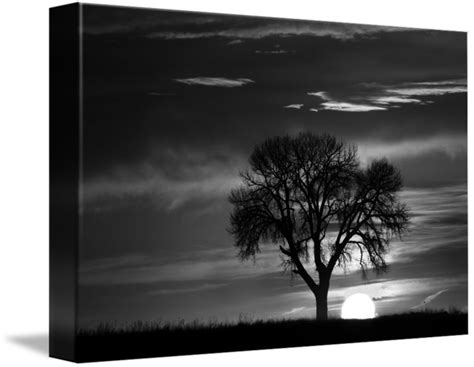 Sunrise Silhouette Bw By James Bo Insogna