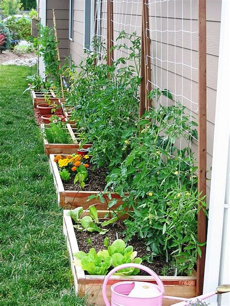 62 Affordable Backyard Vegetable Garden Designs Ideas