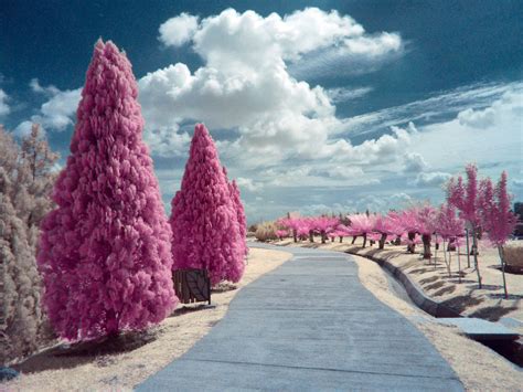 2020 top things to do in putrajaya. Infrazrul | Infrared photography, Surrealism photography ...