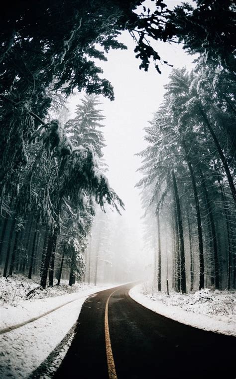 Foggy On The Winter Road Idea Iphone Color Schemes Beautiful
