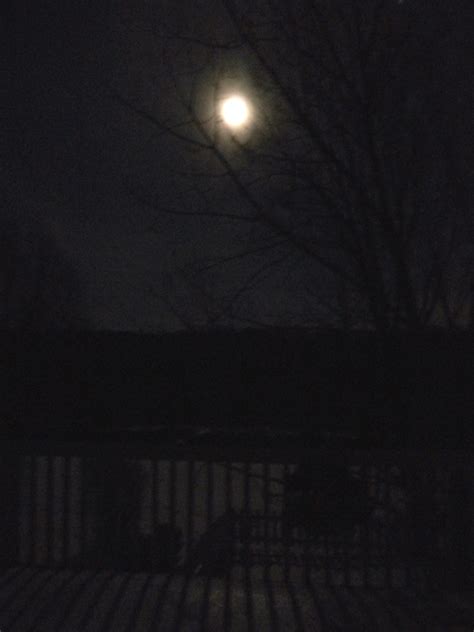 Swac Girl December Full Moon Over Snow Covered Ground