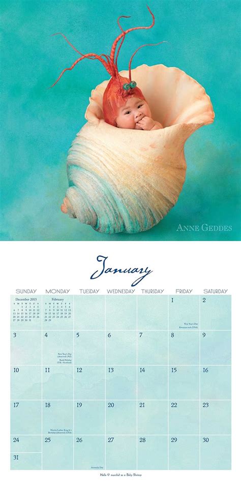 Anne Geddes 2022 Calendar