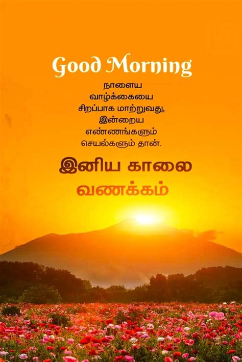 Good Morning Friends Quotes Good Morning Messages Tamil Wishes Horse