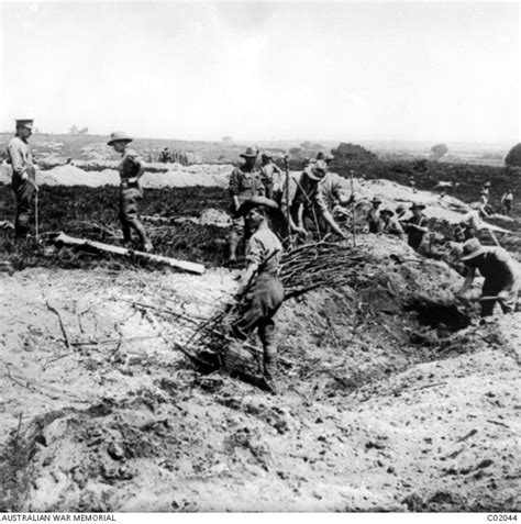 Members Of The 61st Battalion Digging Trenches And Making Revetments
