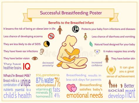 Successful Breastfeeding Poster Benefits To The Breastfed Infan Stock
