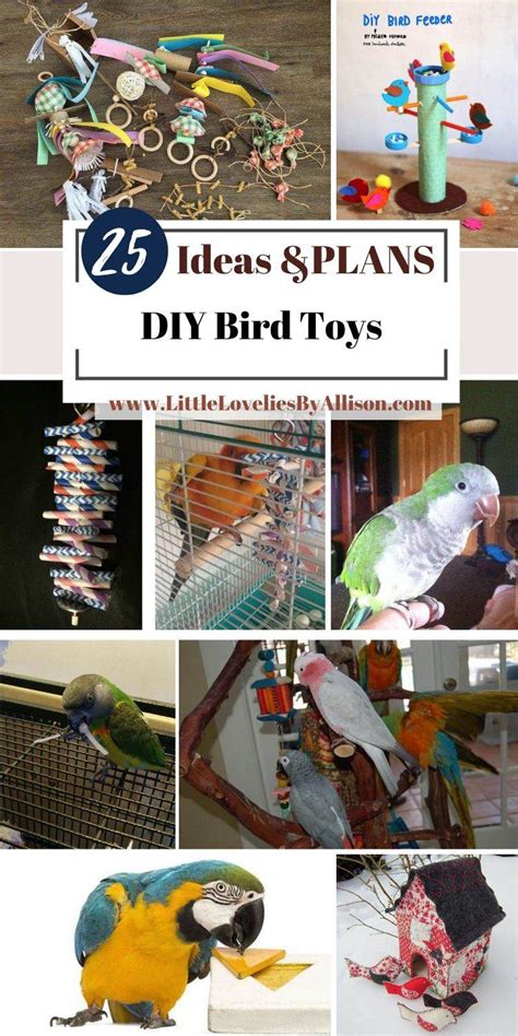 Homemade Toys For Parrotlets Home Alqu
