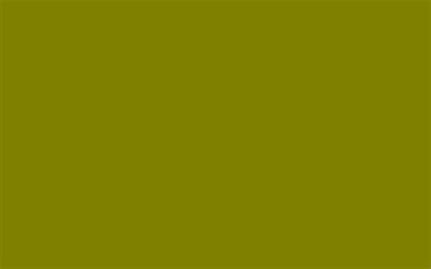 2560x1600 Olive Solid Color Background
