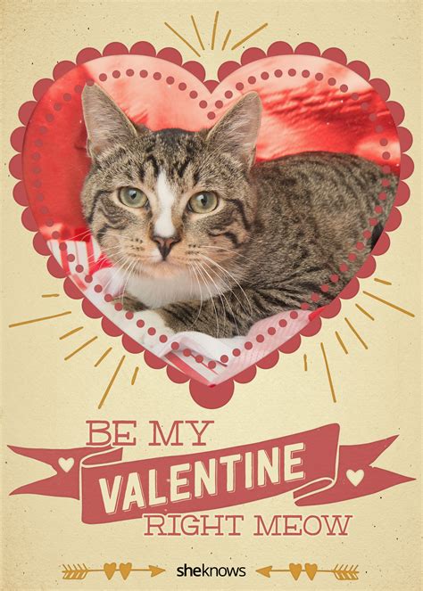 kitty cat valentines day cards     aww sheknows