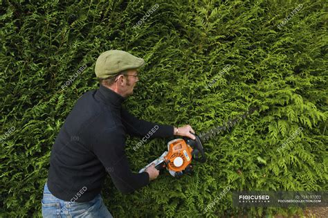 Man Trimming Thick Green Hedge — Europe Outdoors Stock Photo