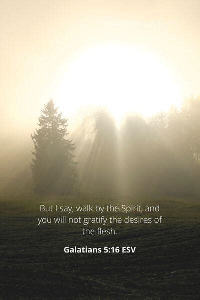 25 Bible Verses About The Holy Spirit Guiding