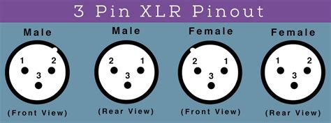 7 Pin Male And Female Connectors 4reviewscom
