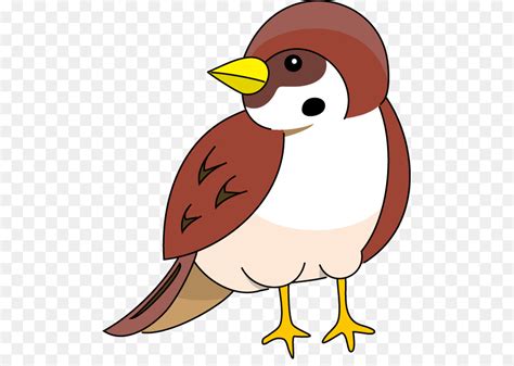 Cartoon Sparrow For Kids Clip Art Library