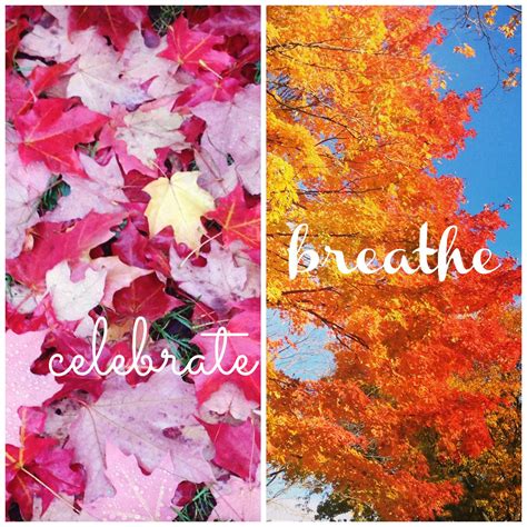 8 Ways To Celebrate Autumn No Matter Where You Live
