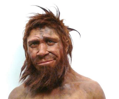 Humans Started Having Sex With Neanderthals Over 100 000 Years Ago Artofit