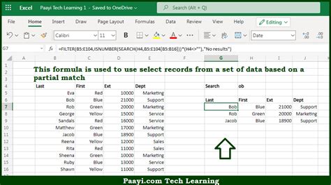 Learn How To Filter With Partial Match In Microsoft Excel Paayi