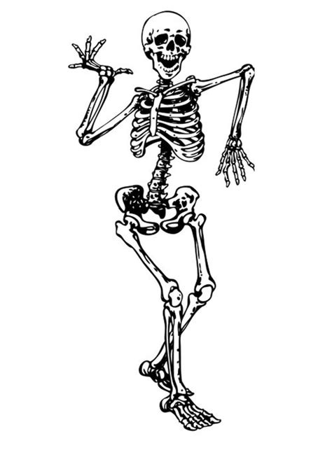 Pictures Of Skeletons To Draw ~ Easy Drawing Cool