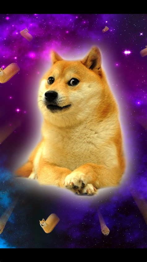 Free Download Twinkie Doge In Space Doge Wallpaper 1600x1224 41362