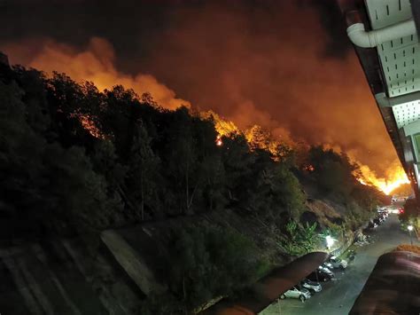 De loe is een ultradunne lens die beelden van zeer hoge kwaliteit kan tonen. Bomba Bertungkus Lumus Padam Kebakaran Hutan Di Country ...