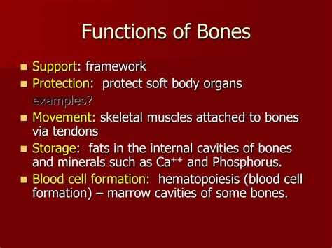 Ppt Skeletal System Powerpoint Presentation Free Download Id416748