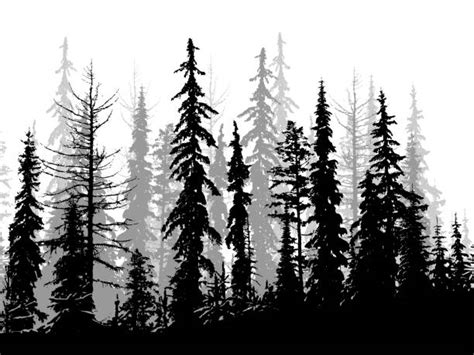 Best Treeline Silhouette Illustrations Royalty Free Vector Graphics