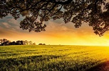 Sunset Dusk Meadow - Free photo on Pixabay | Landscape photography ...