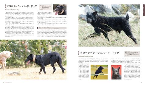 チープ 最新犬種図鑑 写真で見る犬種とスタンダード
