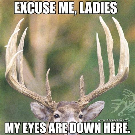 Have A Good Laugh At These Hunting Jokes Pics