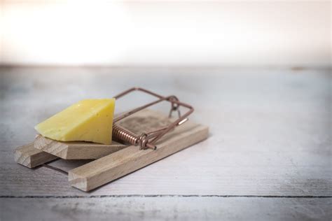 Brown Wooden Mouse Trap With Cheese Bait On Top · Free Stock Photo