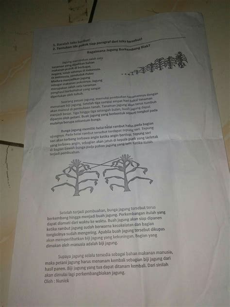 Paragraf ini bersifat deduksi dan dikembangkan dari pernyataan umum ke khusus. tolong babtu ya cuma nyari pokok pikiran dari setiap ...