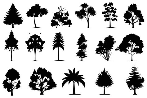 Trees And Forest Silhouettes Set Isolated Vector Illustration 20919986