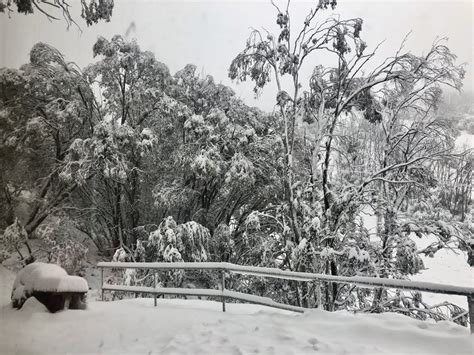 Heavy Summer Snow Buries Parts Of Southeast Australia December 2 2019