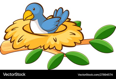 Bird In Nest On White Background Royalty Free Vector Image