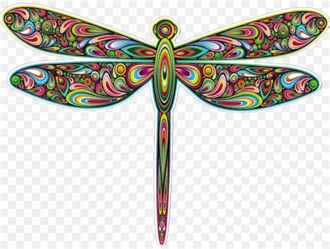 Dragonfly Psychedelic Art Psychedelia Clip Art Png 1000x757px