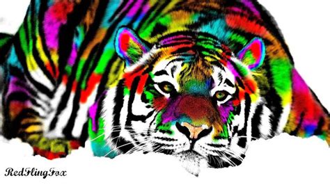 Rainbow Tiger Animal Tattoo Rainbow Animals