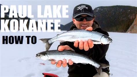 Kokanee Salmon Ice Fishing In British Columbia Youtube