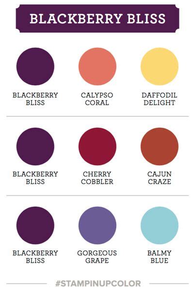 Stampin Up Blackberry Bliss Colour Coach Swatch Paint Color Combos