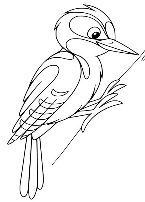 Pájaro Carpintero Feliz Para Colorear Imprimir E Dibujar Dibujos