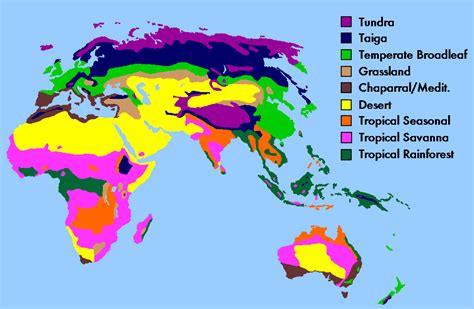 Climate Zones And Biomes Physical Geography