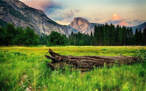 Download Wallpapers Usa Rocks Green Grass Forest Field Mountains