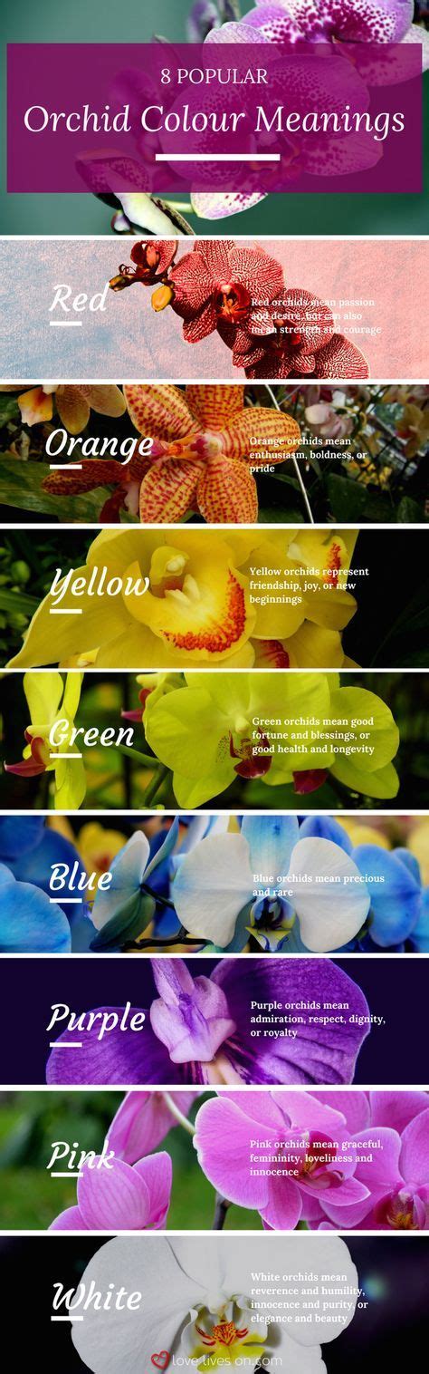 Funeral Flowers And Their Meanings The Ultimate Guide Flower