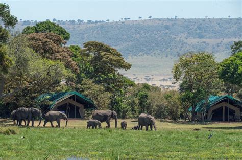 Exploring Nairobi Safari Park