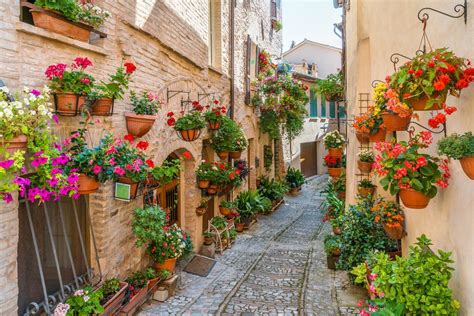 Spello And Around Italy Travel Guide Rough Guides