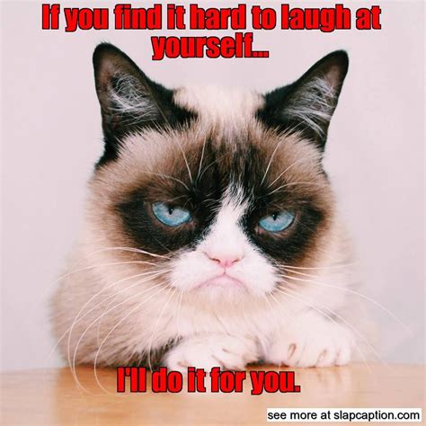 Grumpy Musings Funny Grumpy Cat Memes Grumpy Cat Humor Grumpy Cat