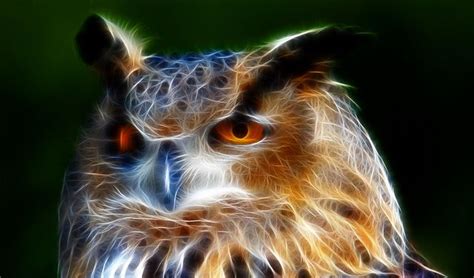 Owl In Fractalius Owl Fractal Art Fractal Design