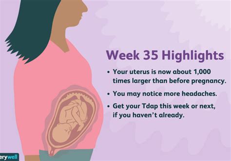 35 Weeks Pregnant Symptoms Baby Development And More